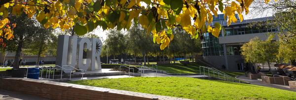 UCR Fall by the HUB Student Lounge